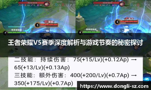 王者荣耀V5赛季深度解析与游戏节奏的秘密探讨