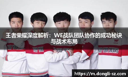王者荣耀深度解析：WE战队团队协作的成功秘诀与战术布局