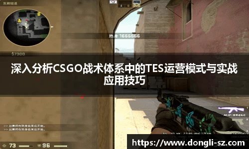 深入分析CSGO战术体系中的TES运营模式与实战应用技巧