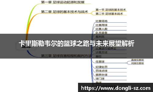 卡里斯勒韦尔的篮球之路与未来展望解析